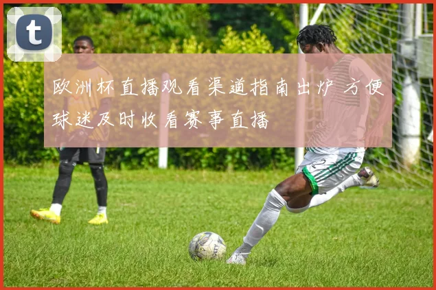 欧洲杯直播观看渠道指南出炉 方便球迷及时收看赛事直播