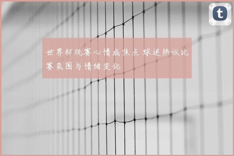 世界杯观赛心情成焦点 球迷热议比赛氛围与情绪变化