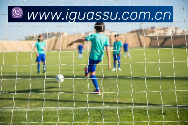 开云·kaiyun体育(中国大陆)官方网站 登录入口发展历程